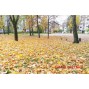 PARDUODAMAS 2 KAMBARIŲ BUTAS ŠVYTURIO G., ANTAKALNYJE